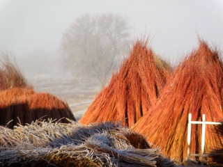 Ruta del Mimbre por el Rojo Pasión del Paisaje Conquense - Solo en invierno