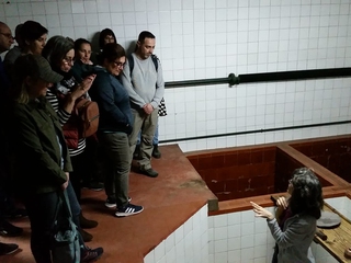 Visita guiada a olivar centenario y a la Almazara