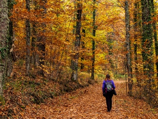 Visita Paisaje Protegido