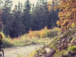 Alquiler bicicletas de montaña para pasear