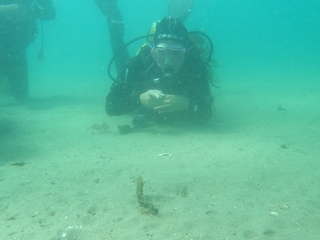 Inmersiones desde Costa o Barco