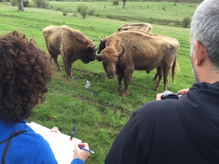 Safari Paleolítico en Jeep o Vagón