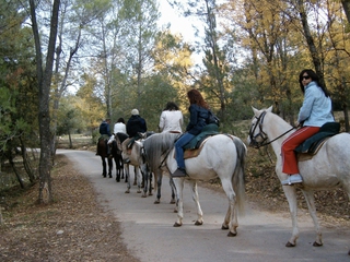 Paseo a Caballo por el Parque Natural Sierras de Cazorla, Segura y Las Villas