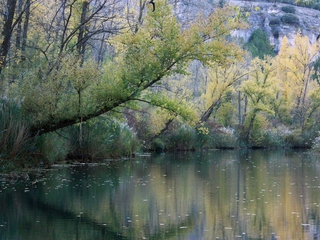 La Naturaleza que envuelve la Ciudad de Cuenca