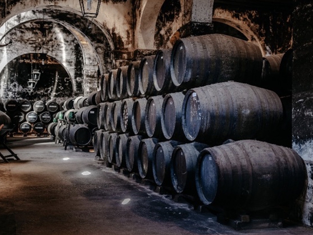 Visita a nuestra Bodega de Mora con una degustación de cuatro vinos de Jerez y vermú.
