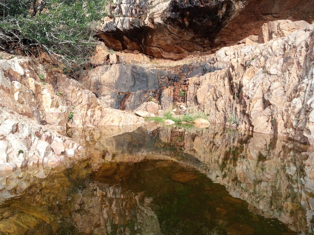 Descubre las Pinturas Rupestres de Puertollano
