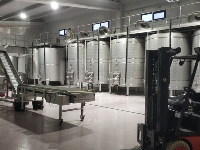 Visita Enoturistica - Viña y Bodega con Cata