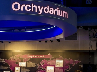 Orchydarium, Centro Divulgativo