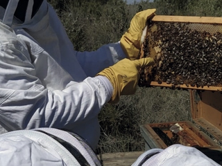 Naturaleza Viva - Experiencia Rural