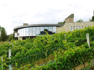 Visita Picoteo Bodega Berroja