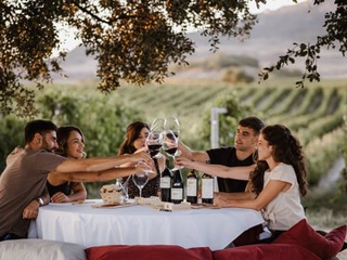 Picnic en Viñedo
