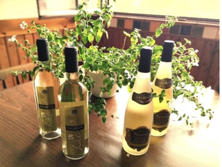 Visita Guiada por la Bodega Txakoli Uriarte