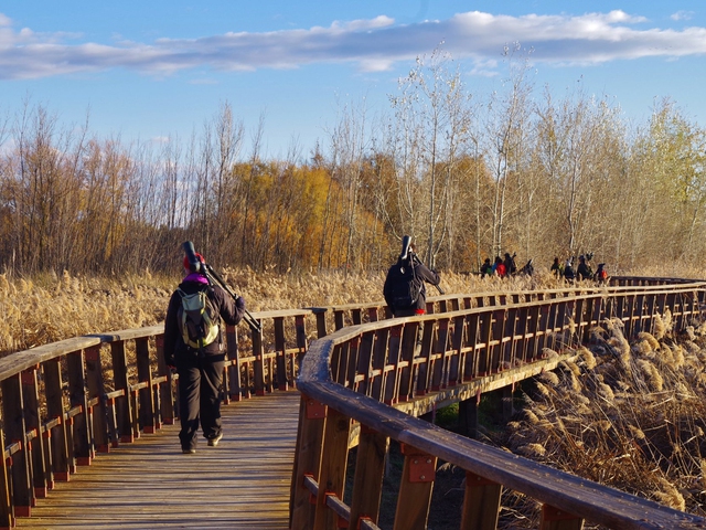 Visita Tablas de Daimiel