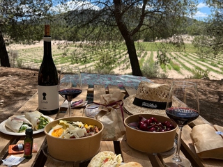 Picnic entre viñedos - Finca Collado