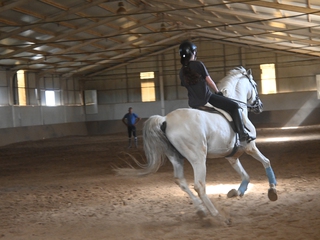 Clases de equitación con jinete profesional