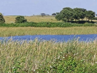 Ruta Ornitológica en el Embalse de Arrocampo