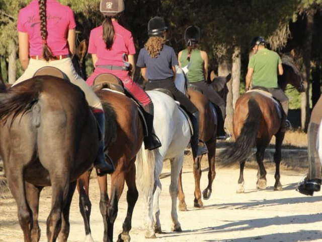 Ruta a Caballo - Pinares