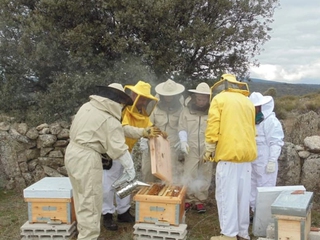 Apicultor por un día