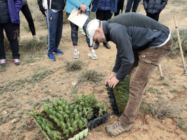 Jornadas Medioambentales - Replantación Sostenible