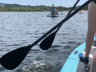 Paddle Surf Naturmaz