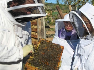 Visita al Santuario de las Abejas