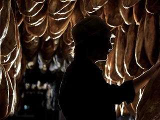 Experiencia Cinco Jotas