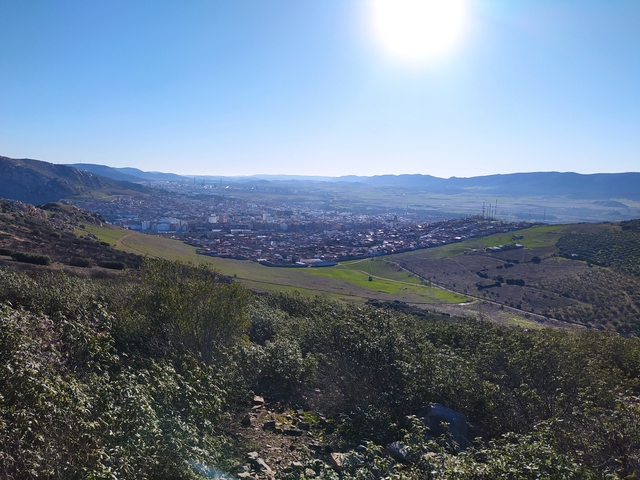 ¿Sabes lo que es un Icnofósil?