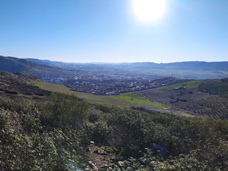 ¿Sabes lo que es un Icnofósil?