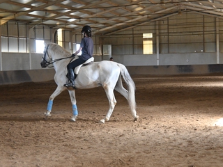 Clases de equitación con jinete profesional