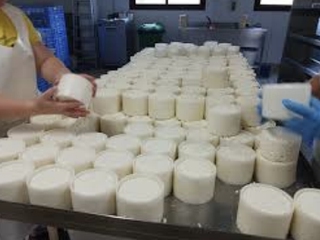 Ruta guiada en E-Bike + Quesería