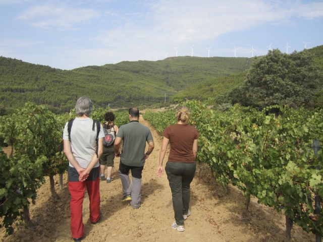 Experiencia Gozatu - Enoturismo Máximo Abete