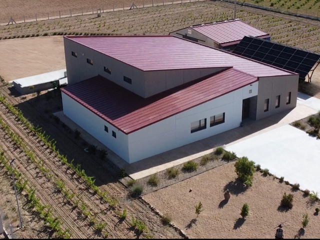 Visita Enoturistica - Viña y Bodega con Cata