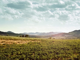 Visita Finca Collado - Cata de vinos y embutidos