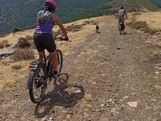 Grupo descendiendo por un camino de la Sierra Norte de Guadalajara