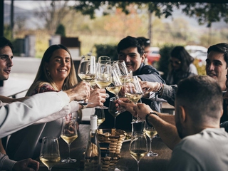 Visita guiada con degustación de txakolis