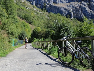 Alquiler bicis por libre