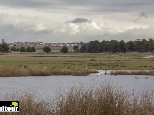 Ruta por las Lagunas de Cantalejo - Conociendo a sus inquietos habitantes