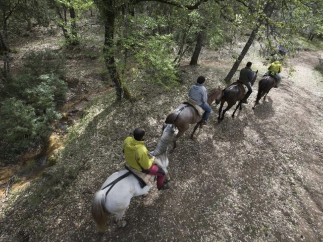 Paseo a Caballo por el Parque Natural Sierras de Cazorla, Segura y Las Villas
