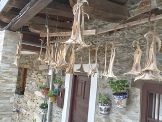 Free Tour por Cudillero