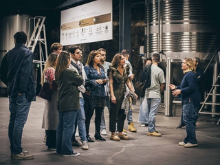 Visita guiada con degustación de txakolis