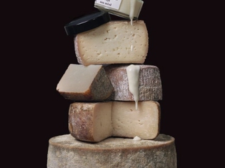 Cata Premium de Quesos Reborto