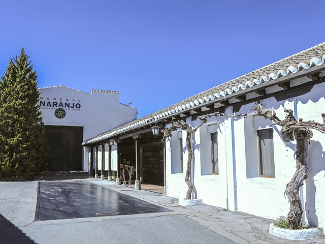 Visita a bodega con cata de vinos