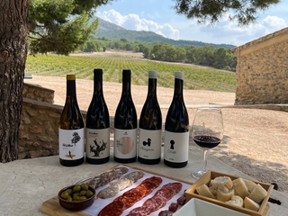Visita Finca Collado - Cata de vinos y embutidos