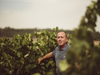 Experiencia Tovar: un viaje al corazón del vino en Trigueros del Valle