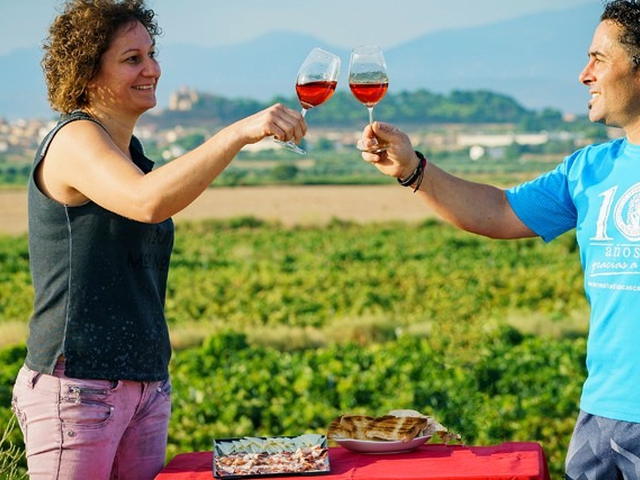 Entre el Moncayo y el Ebro, viñas y rincones naturales.