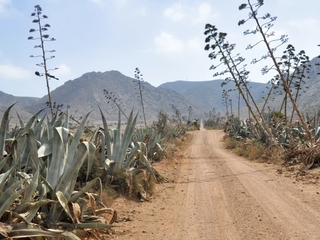 Senderismo a la carta