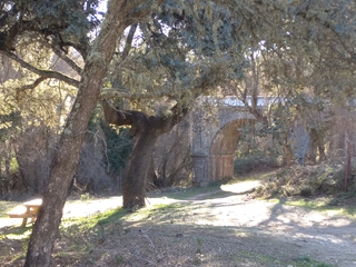 Baños de Encina y taller de Arteterapia