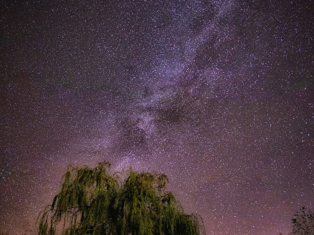 Taller de Astronomía: Constelaciones, Mitología y Vinos