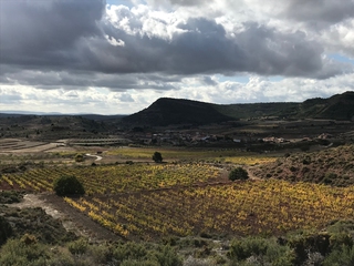 Visita Bodega y Cata en Baldovar 923