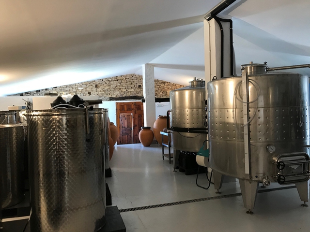 Visita Bodega y Cata en Baldovar 923